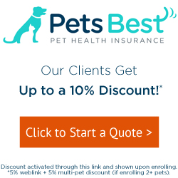 Our clients get up to 10% discount on Pet's Best Pet Health Insurance